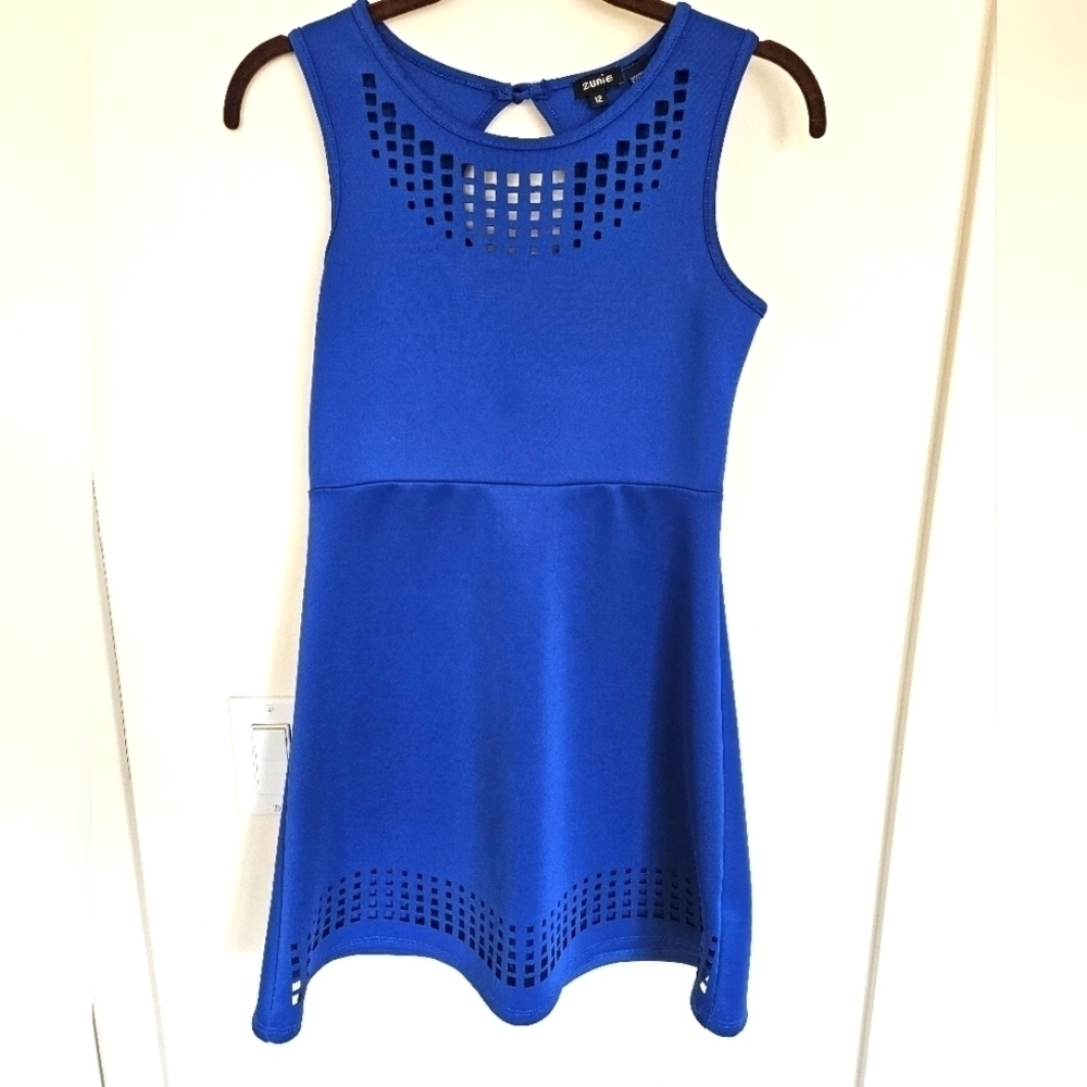 Zunie Blue Skater Dress
